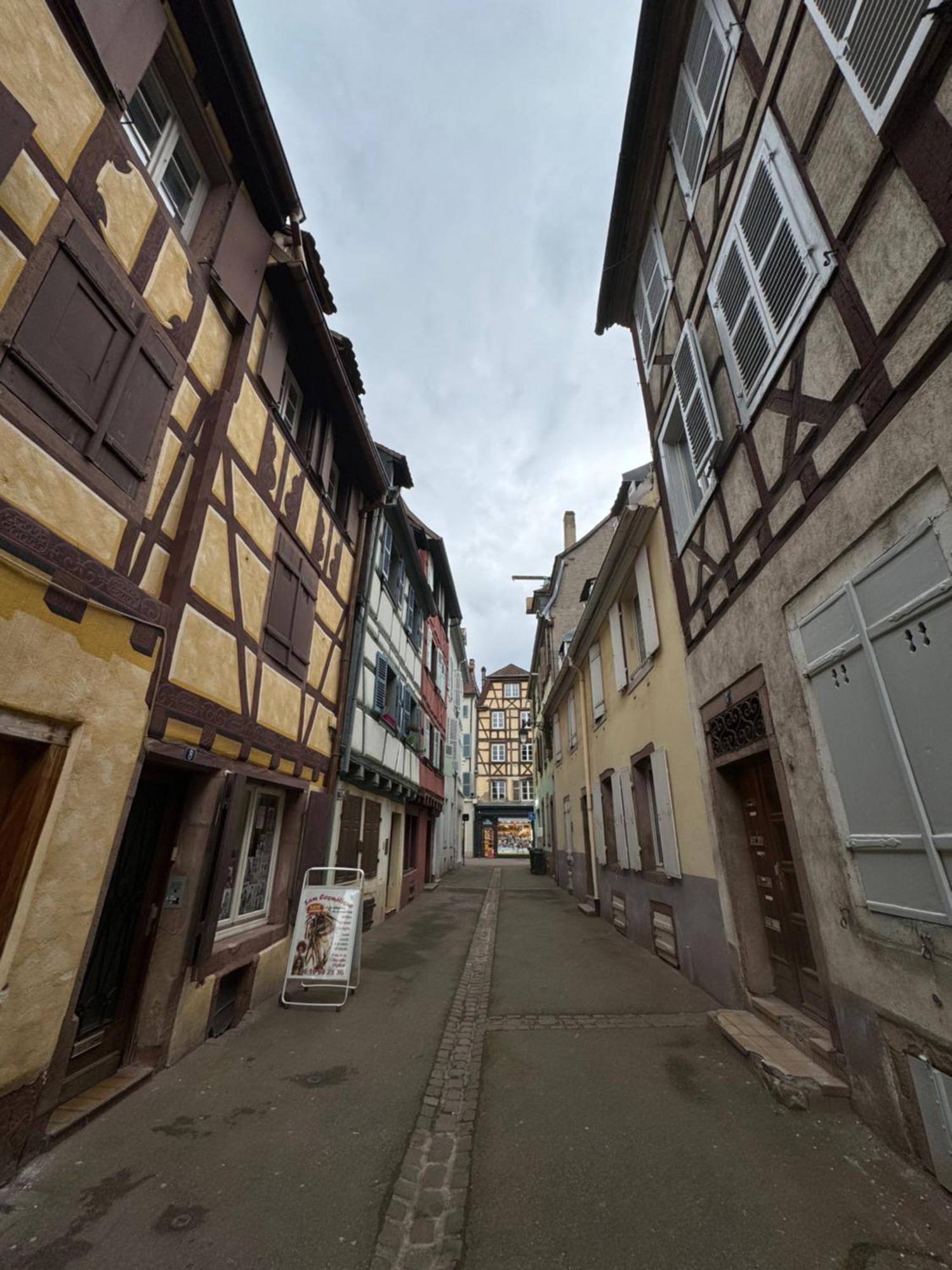 Le Colmarien - Hypercentre - Free Parking - Terrasse别墅 外观 照片